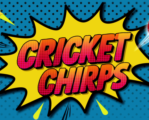 Cricket-Chirps-1